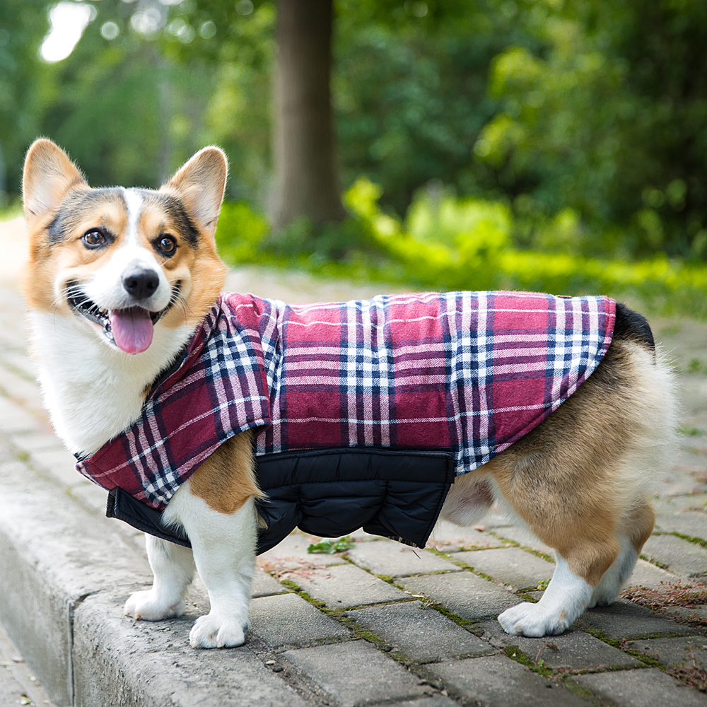 柯基可卡犬英斗棉背心狗狗衣服