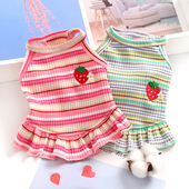 薄款 宠物猫咪裙子小狗狗衣服博美比熊泰迪公主裙纯棉透气春装 夏季