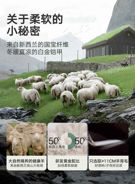 精选大江地毯新款羊毛高端客厅沙发茶几地垫Mins风房间卧室床边毯