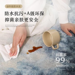 优选地毯客厅轻奢高级沙发u毯免洗可擦毛毛主卧床前毯地板隔音家