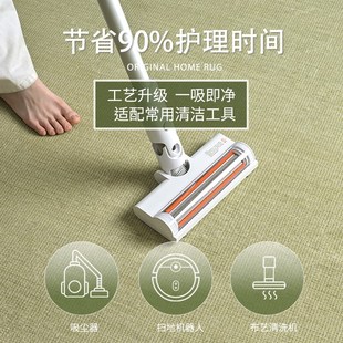 奶油风免洗可擦免打理T轻奢高级地垫防 精选绿色地毯客厅2025新款