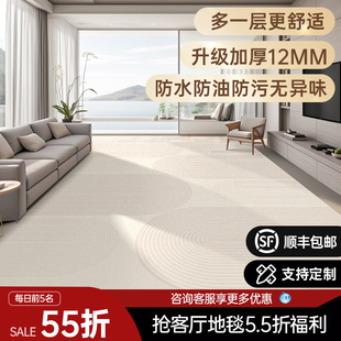 轻奢高级免打理免洗S可擦沙发茶几地垫 精选奶油风地毯客厅新款