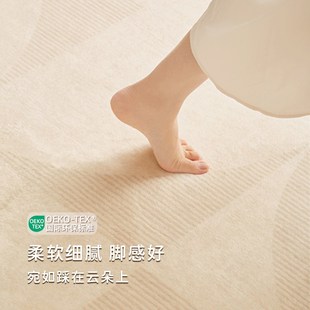 轻奢高级沙发家用奶油风卧室床Y边加厚天津 精选地毯客厅2025新款