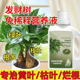 发财树营养液叶子发黄掉叶专用肥料免稀释增枝促叶氮磷钾液体肥料