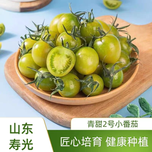 新鲜柿子小番茄寿光青甜2号水果小番茄圣女果现摘现发西红柿整箱