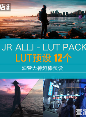 JR ALLI旅拍赛博朋克胶片电影文艺PS调色LUT预设PR达芬奇FCPX时尚