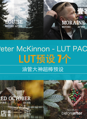 Peter McKinnon油管大神LUT胶片文艺时尚PS滤镜PR达芬奇FCPX预设