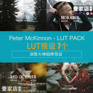 Peter McKinnon油管大神LUT胶片文艺时尚PS滤镜PR达芬奇FCPX预设