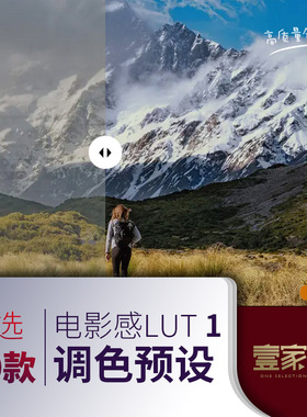 lut预设调色滤镜插件电影感调色PRPS达芬奇FCPX剪映人像人文时尚