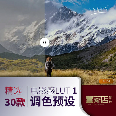 lut预设调色滤镜插件电影感调色PRPS达芬奇FCPX剪映人像人文时尚