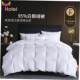 被 down white 95% comforter goose quilt duvet winter blanket
