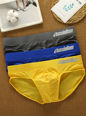 Brand Men's Underwear Breathable Sexy Fashion Briefs Silk Lo