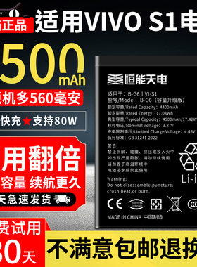 恒能天电适用于vivo s1电池大容量增强步步高VIVO s1 更换手机扩容高容版魔改vivos1 V1831A非原装厂B-G6电板