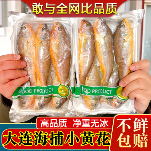 纯野小黄花鱼新鲜冷冻净重无冰