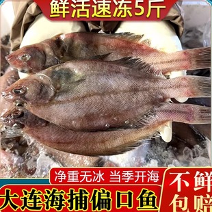 大连新鲜偏口鱼小冷冻扁口鱼比目鱼长脖鱼非鼓眼鱼鲽鱼左多宝5斤