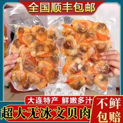 大连超大文贝肉鲜活冷冻花甲丹东黄蚬子肉蛤蜊肉花蛤无沙400g顺丰