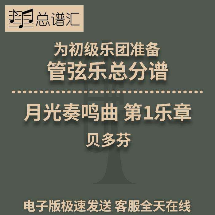 月光奏鸣曲 第1乐章 贝多芬 2级 初级管弦乐 交响乐  总分谱 MP3