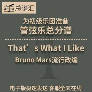 Like That’s What 管弦樂交響樂總譜分譜MP3 2級