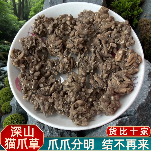 正宗河南信阳野生尖爪猫爪草500g