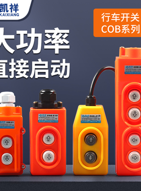 COB COP-21 22P起重机行车按钮380V上下直接控制开关3电动葫芦31