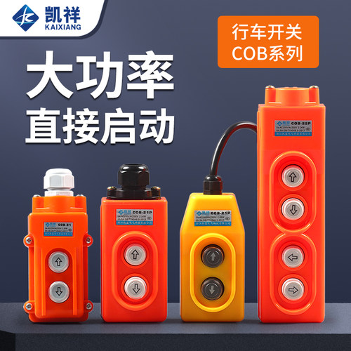 COP-21行车开关直控型吊机