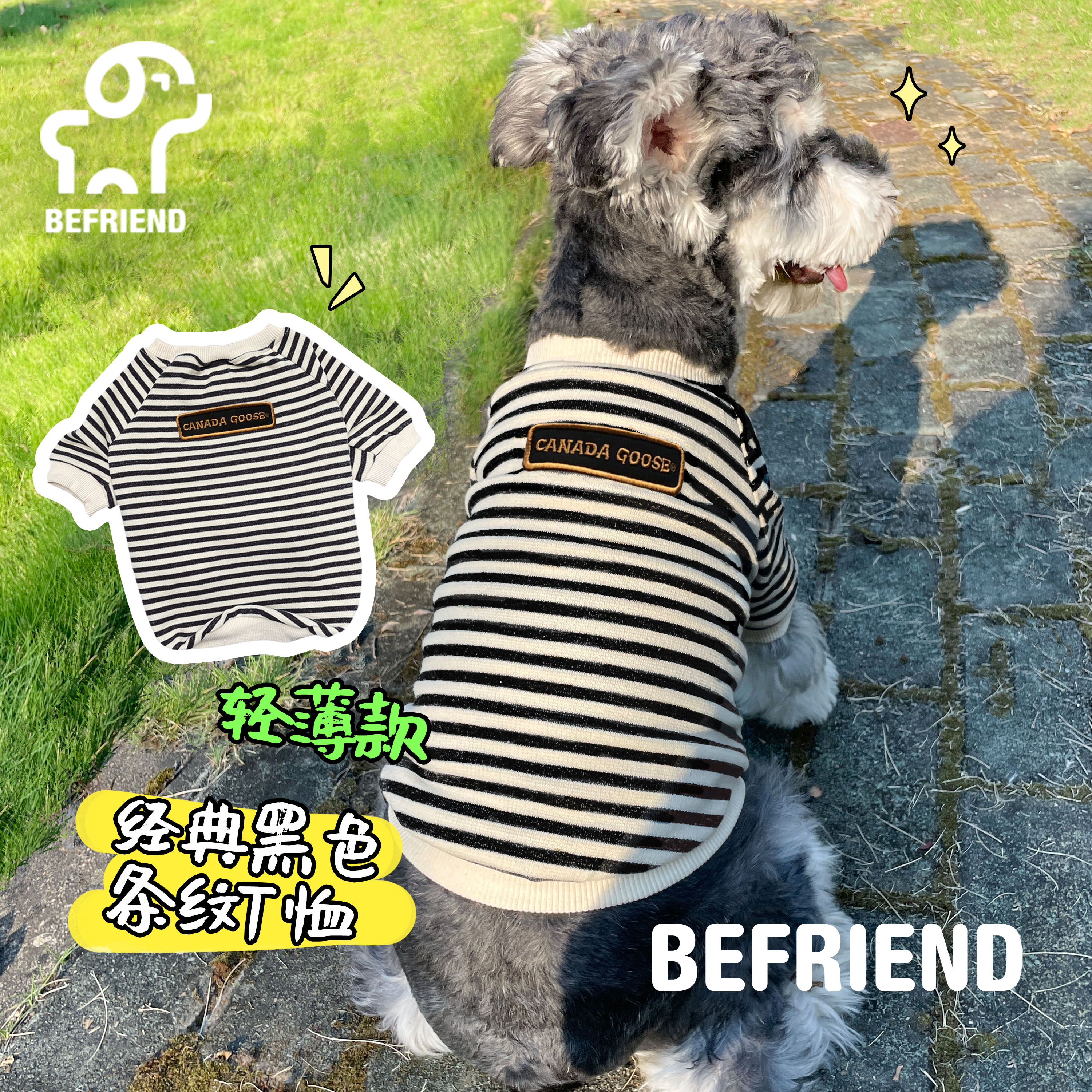 条纹纯棉条纹纯棉巴哥犬柯基法斗