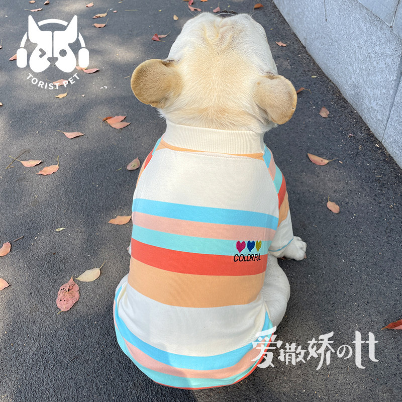TT 春秋韩版宠物衣服彩色条纹狗狗卫衣中小型犬法斗柴犬防掉毛衫