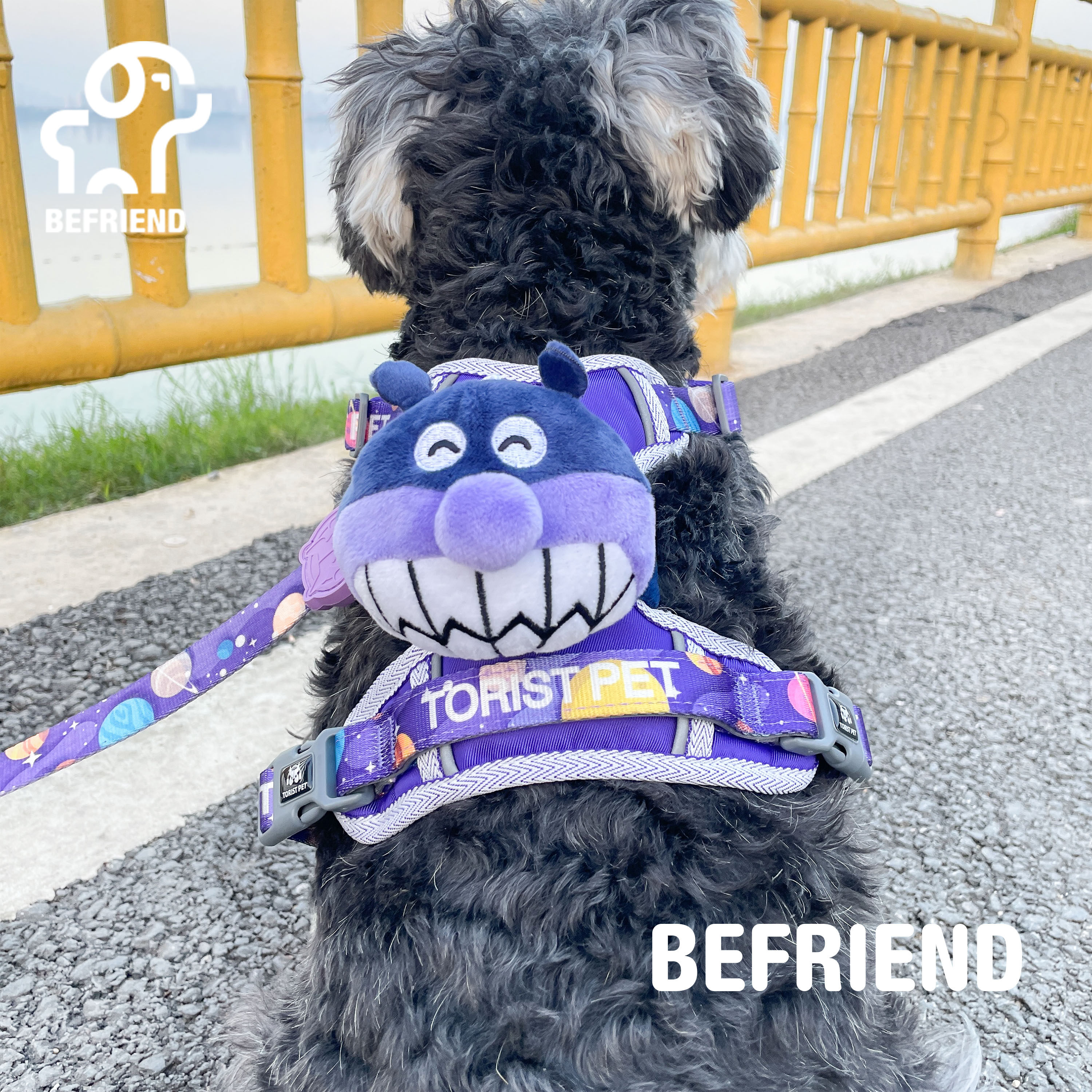 法斗雪纳瑞泰迪宠物胸背可爱装饰