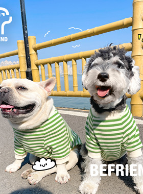 TT 狗狗衣服宠物春季法斗雪纳瑞泰迪套头衫绿色条纹可爱春夏T恤