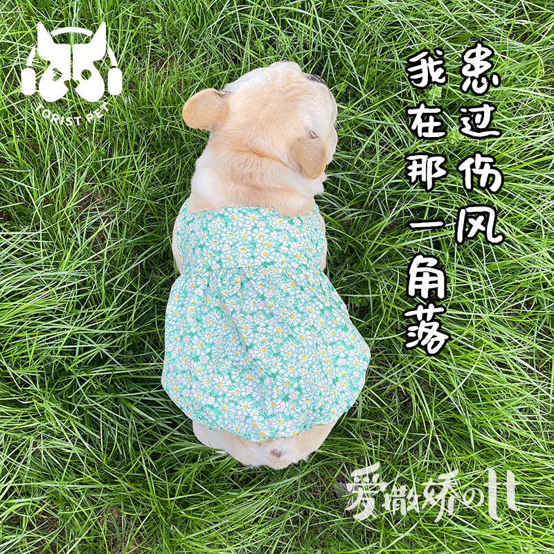 法斗衣服薄款春夏裙子南瓜狗狗棉
