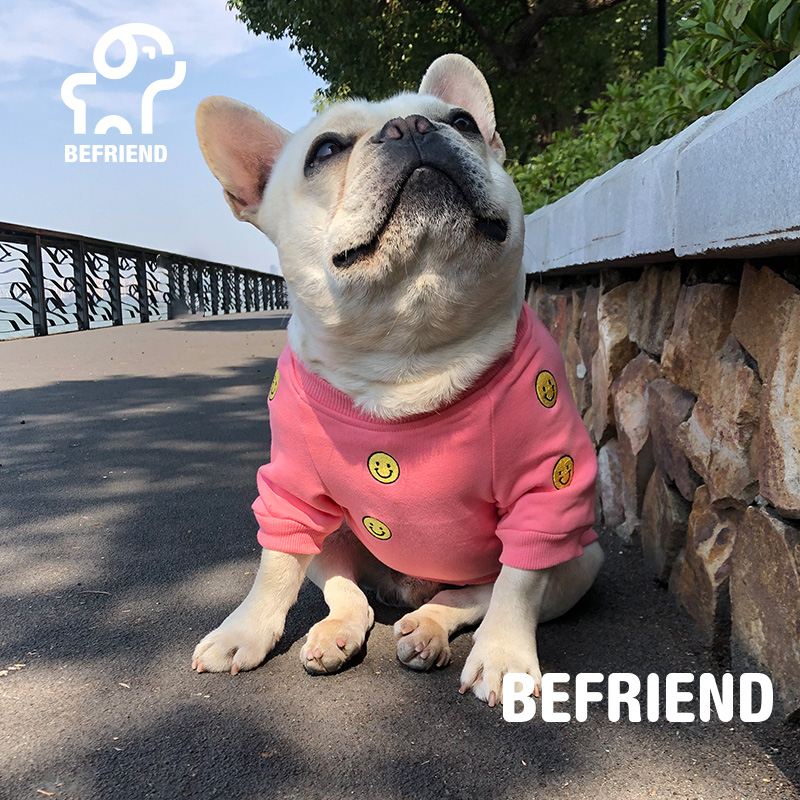 薄款法斗法斗薄款中小型犬比熊