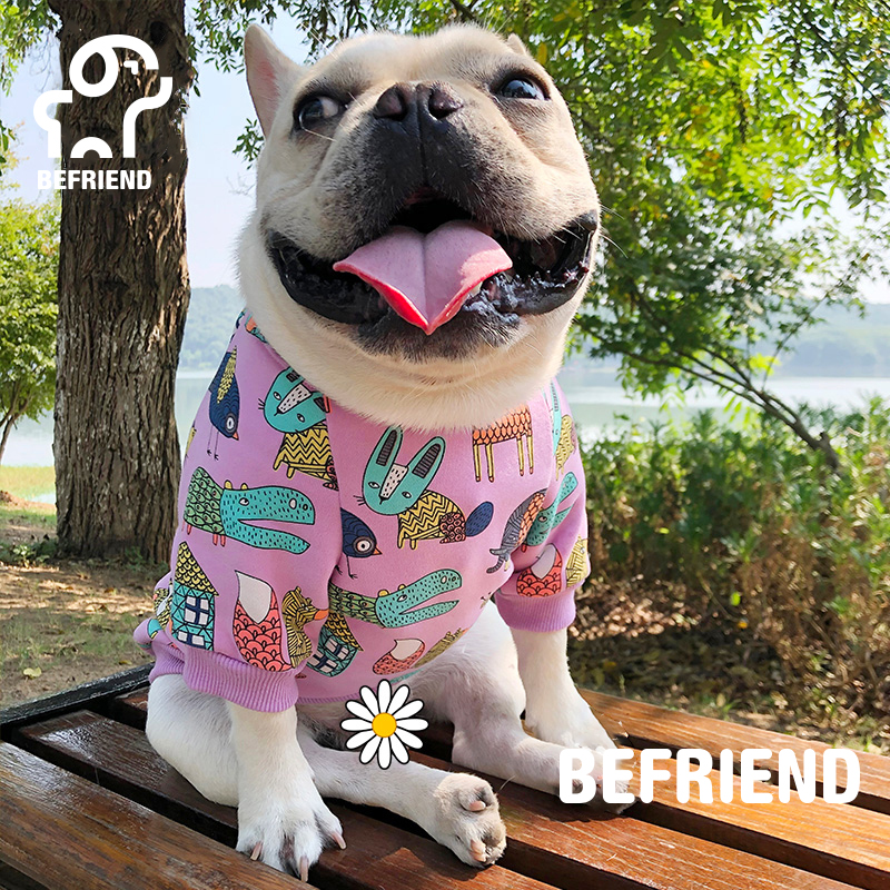 tt雪纳瑞泰迪法斗狗狗加绒卫衣