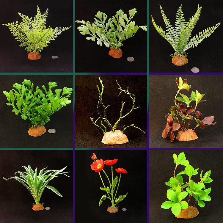 爬虫饲养箱造景透明亚克力蜘蛛盒子仿真植物火玫瑰蜘蛛蝎子蜥蜴