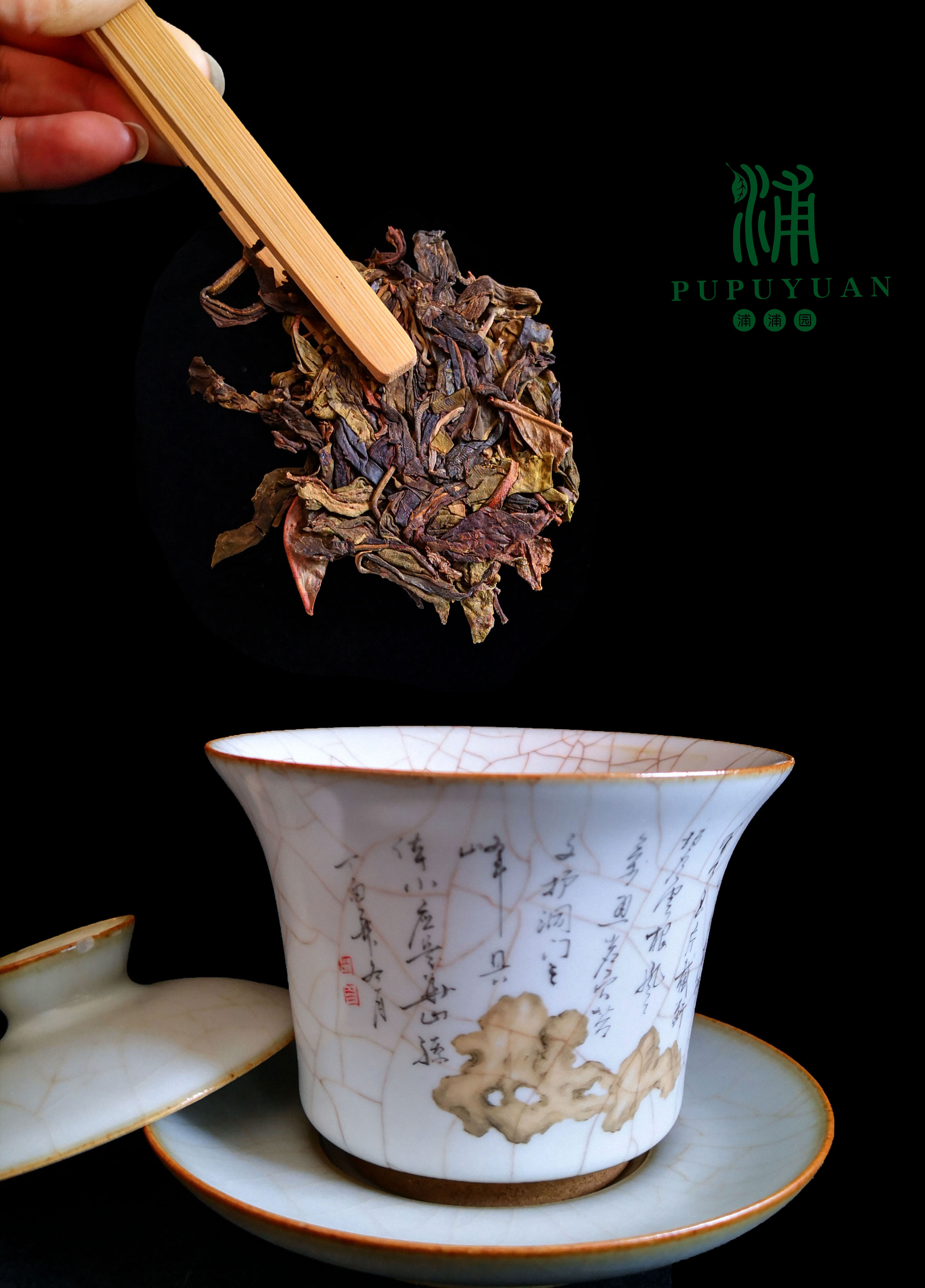 薄荷塘黄金叶生茶2021年普洱茶357克包邮云南易武 古曼撒茶山