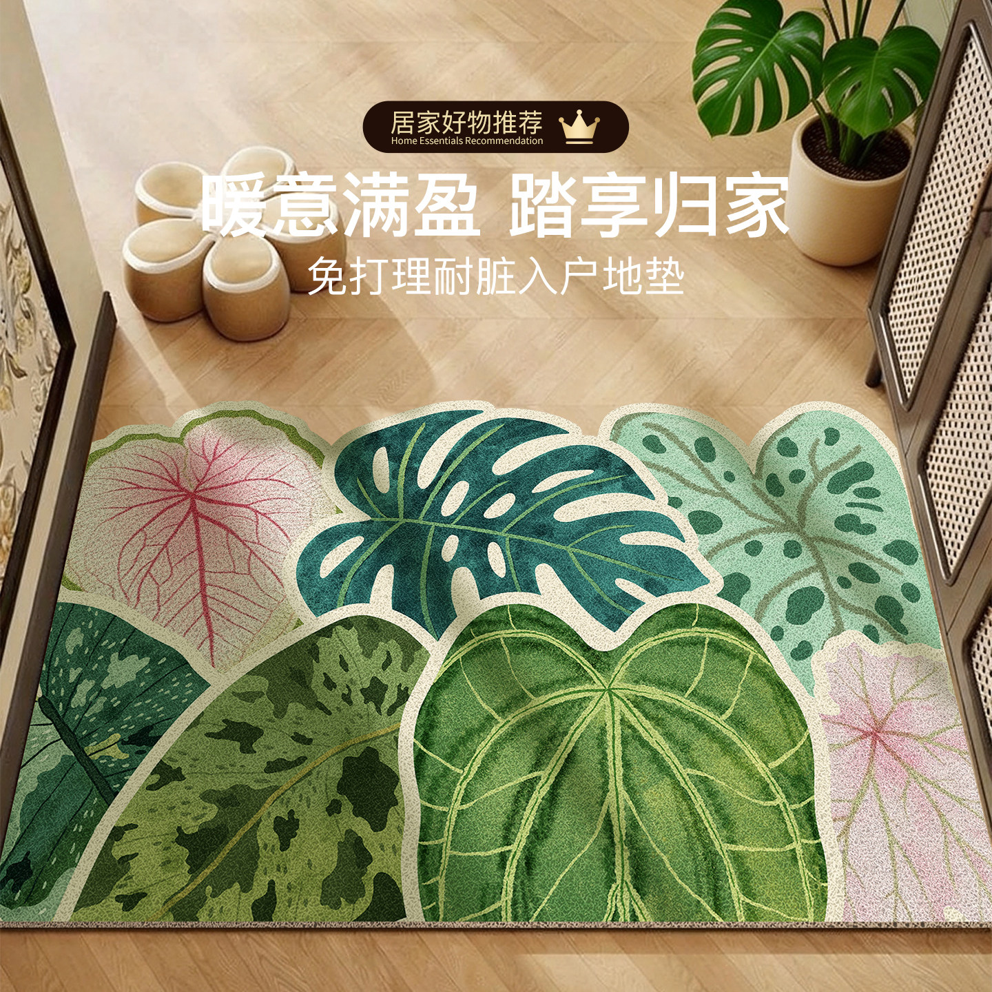 北欧风入户门地垫除尘耐脏防滑垫
