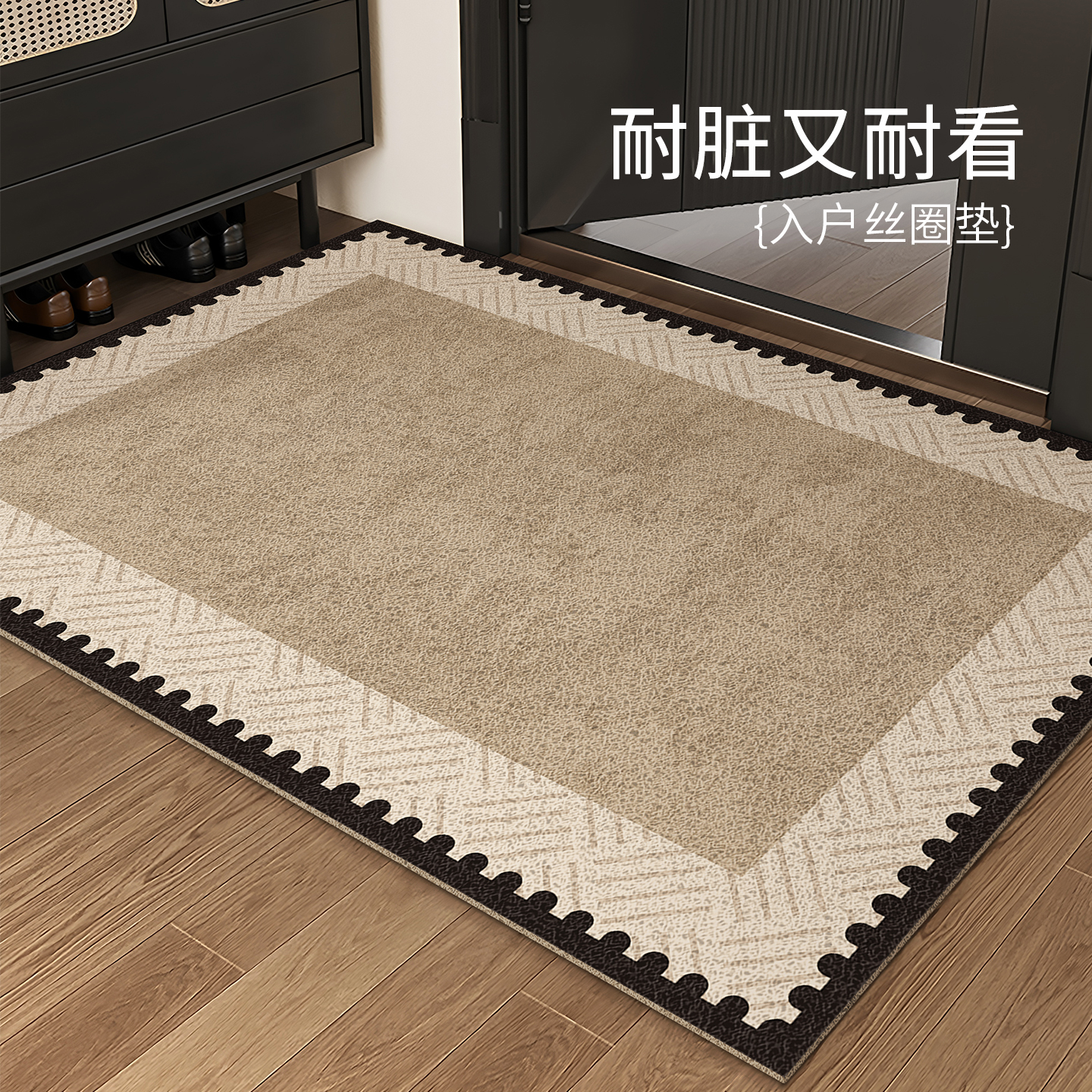 高级感丝圈地垫入户门垫家用防滑