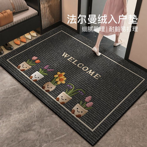 入户门地垫门口可擦免洗脚垫
