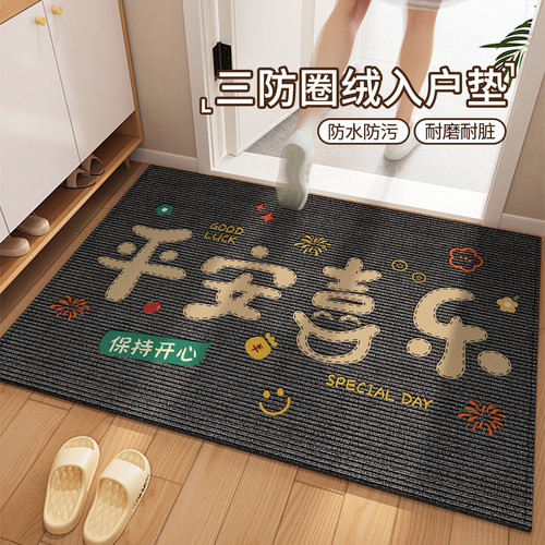 高级感入户门地垫玄关进门垫子