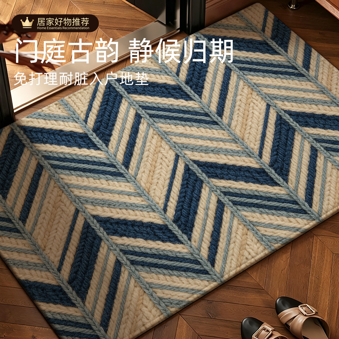 入户门地垫玄关防滑脚垫高级感