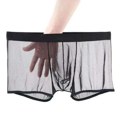 Men's Underwear Transparent Boxers Bulge Ice Silk See Throug