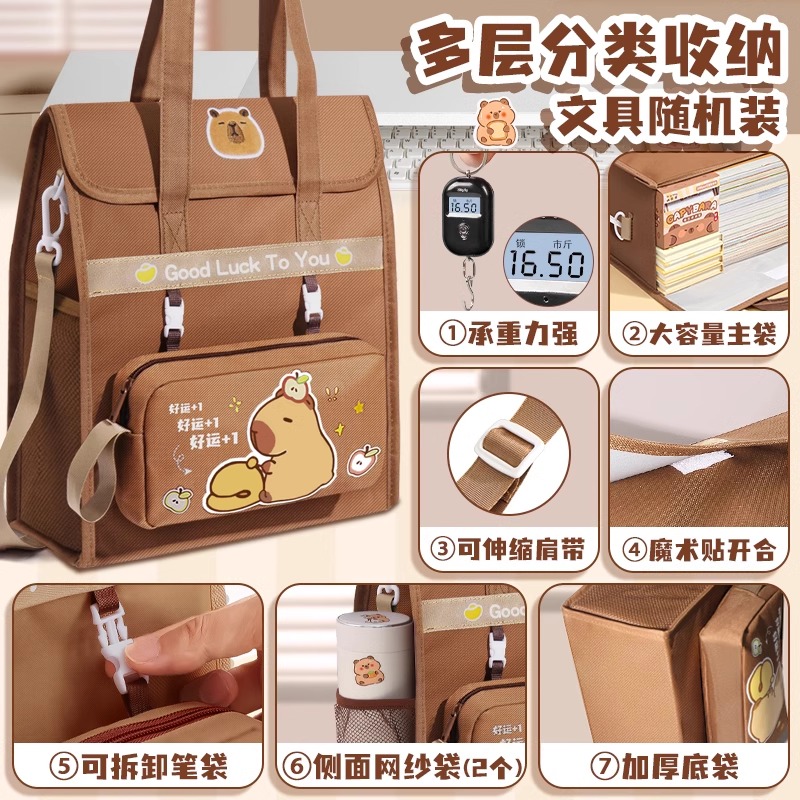 儿童新款卡皮巴拉补习袋男孩女孩