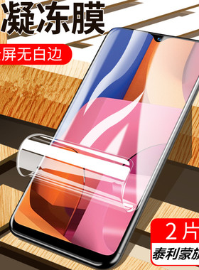 泰利蒙 适用三星A20手机galaxy A20全屏高清防爆水凝莫SM-A205F/G/K/s/W屏幕防摔FN保护GN/YN贴模外屏防指纹