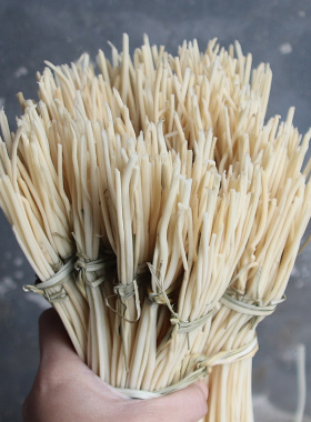 热销包邮灯芯草供佛祈福念经供观音用的长灯草新货手工散装灯心草