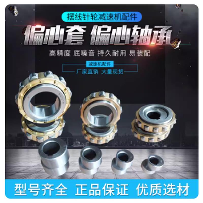 热销减速机用带偏心套轴承RN/205 206 307 309 312 219/M 偏心轴