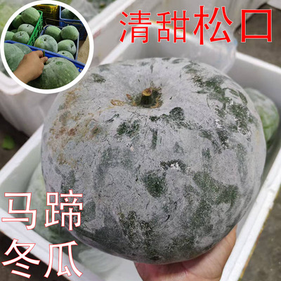 马蹄冬瓜荸荠松口清甜冬瓜盅