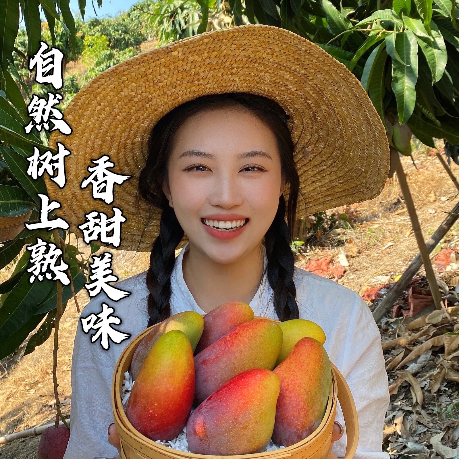 海南三亚树上熟贵妃芒果4斤礼盒 顺丰香味浓 纯甜多汁 现摘