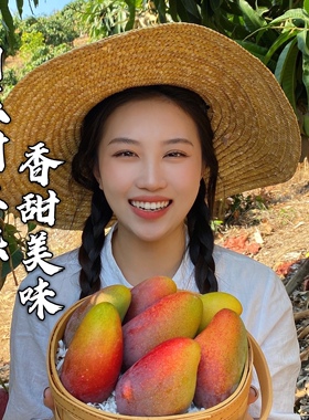 海南三亚树上熟贵妃芒果 香味浓 纯甜多汁 现摘 礼盒装顺丰