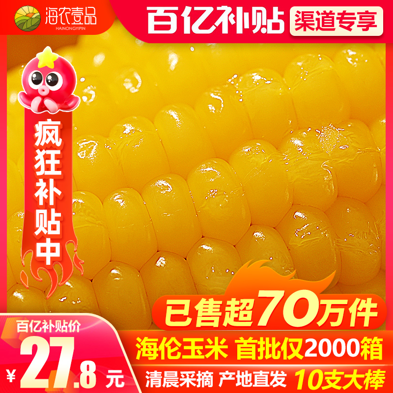 新鲜粘黏黄糯真空10棒装肥减糯玉米