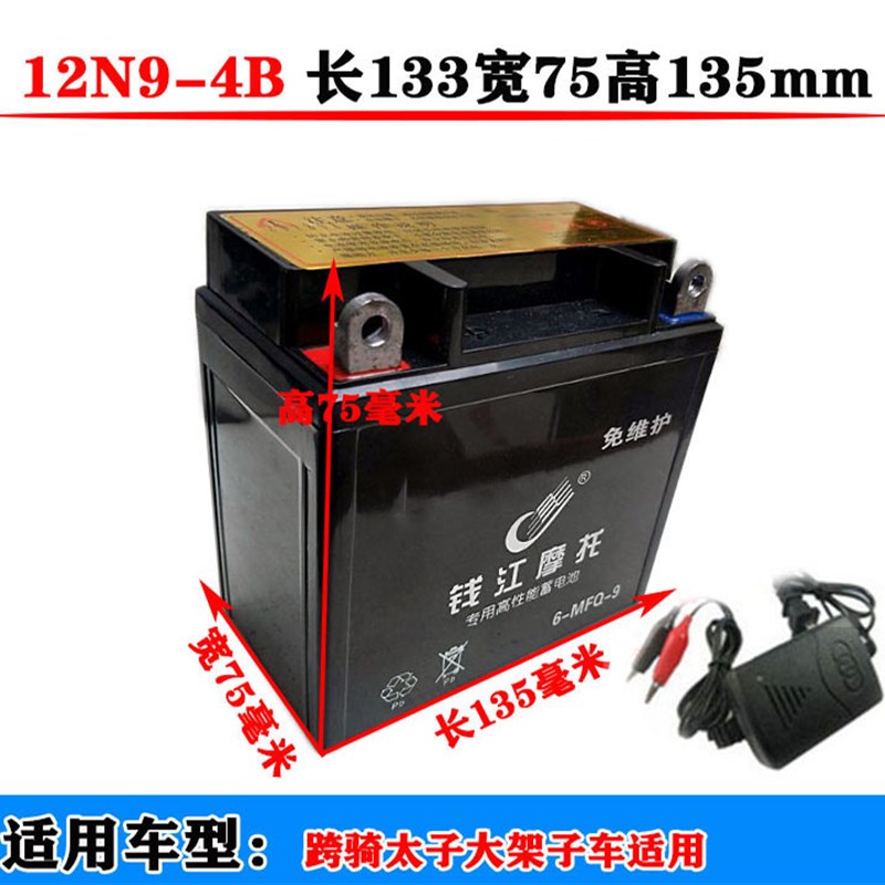 适用摩托车12V9A免维护干电瓶GS铃木王太子125骑士150干电池
