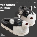 男士 男冬天男款 冬季 可爱毛绒棉鞋 室内居家用2025新款 哈士奇棉拖鞋